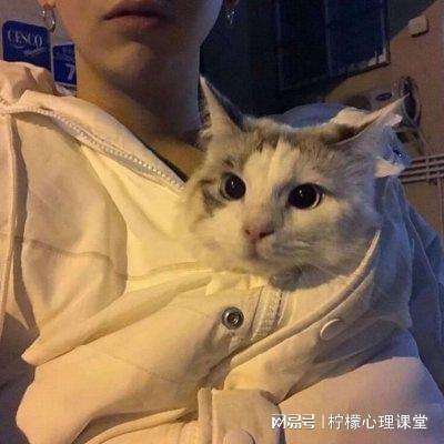 熊猫娱乐app