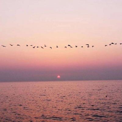 best365官网手机版