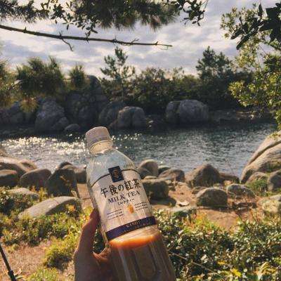 皇冠2登录平台首页