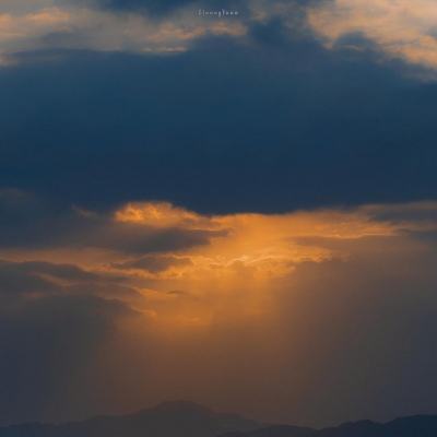 双赢彩票下载手机版