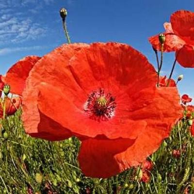 m6米乐手机登陆入口